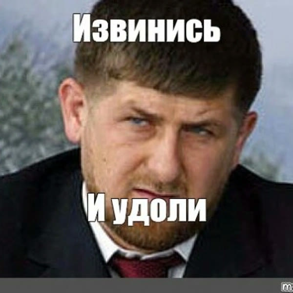 Мем «Извинись и удоли»